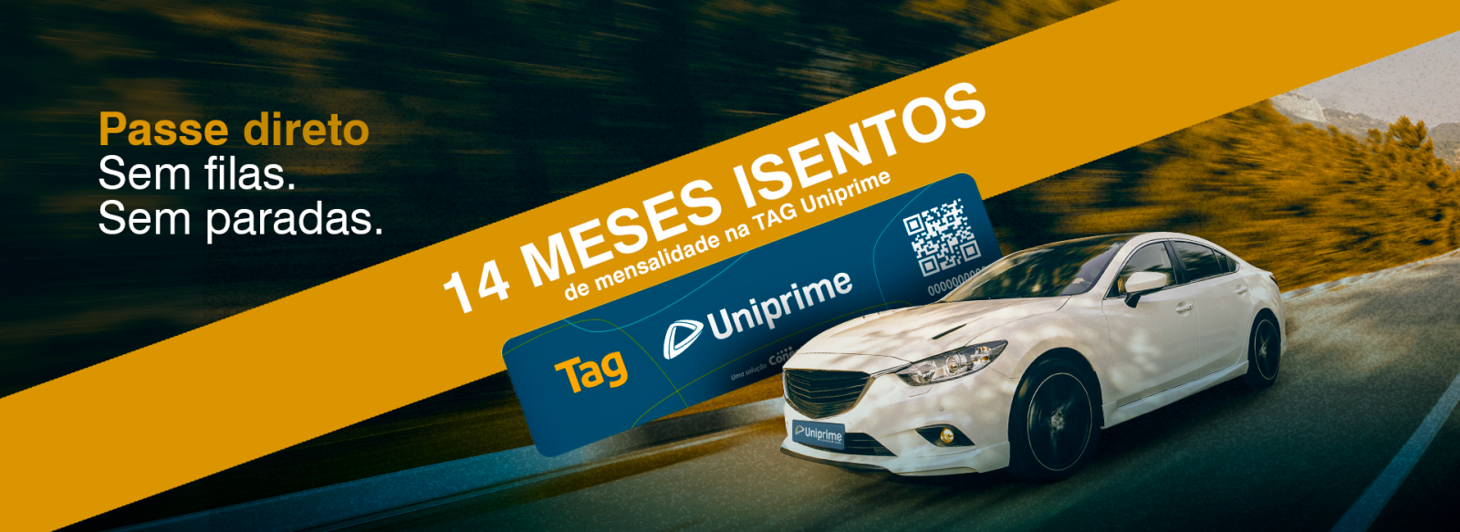 Tag 14 meses
